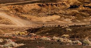 博彩政策对区域投资环境的影响（博彩政策如何塑造区域投资环境）